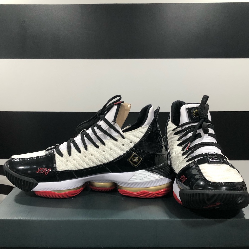 NWT Nike Lebron XBI SB Shoes